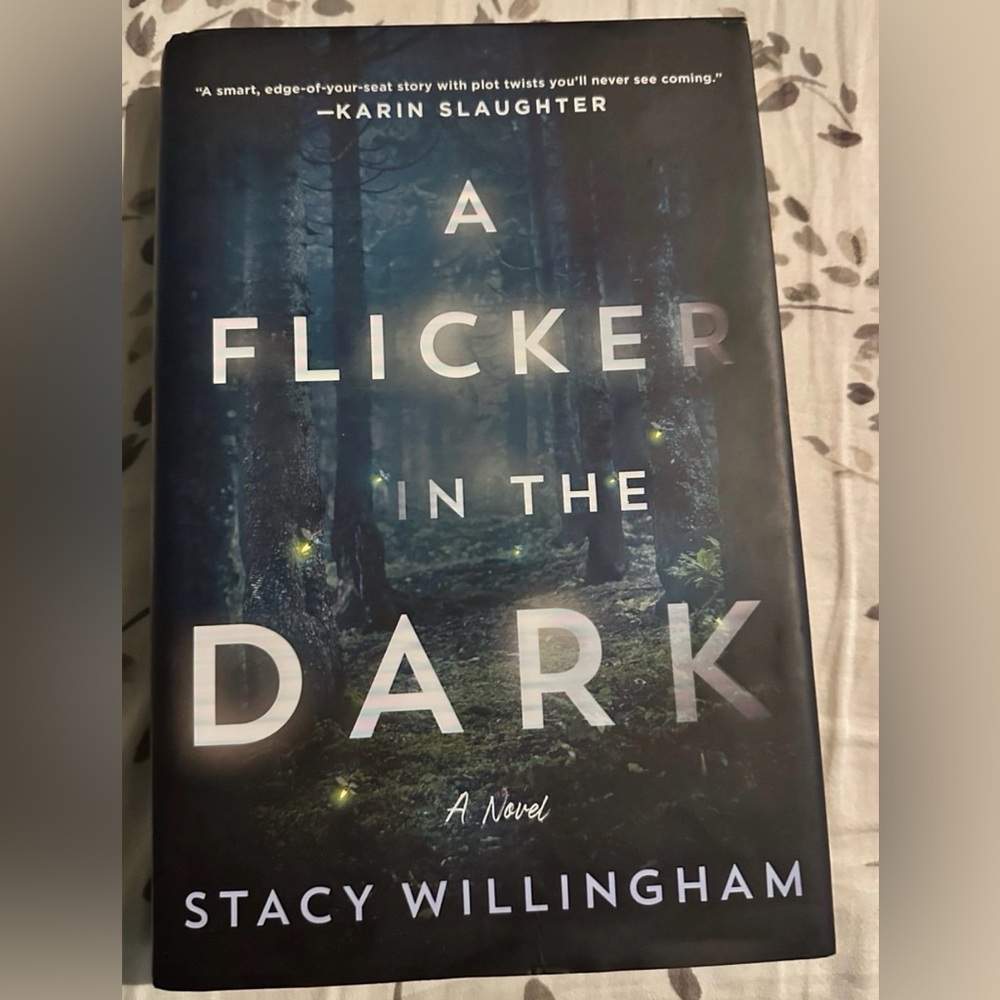 Bundle 2 for $18: A Flicker in the Dark Novel